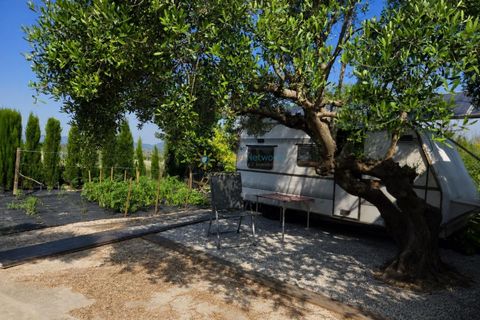 Terra a Beniganim, Valencia, Beniganim - € 49.000 | Ref: PNPT305 - foto 15